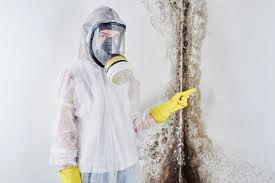 Why You Should Choose Our Mold Remediation Services in Tuskegee, AL